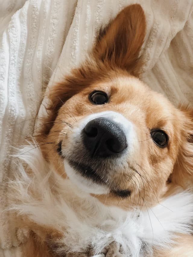 Photo of person_1 on feed