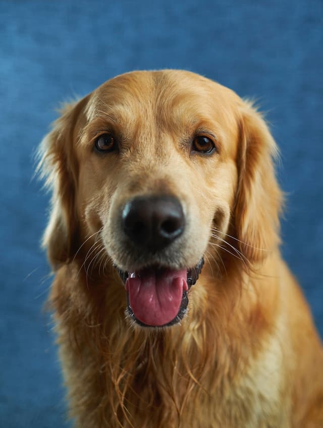 Photo of person_2 on feed