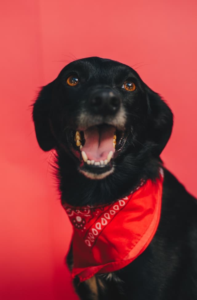 Photo of person_3 on feed